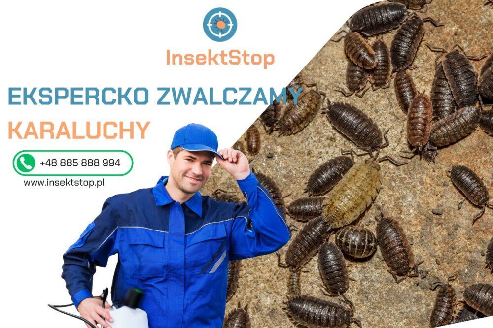  skuteczne zwalczanie karaluchów i prusaków 